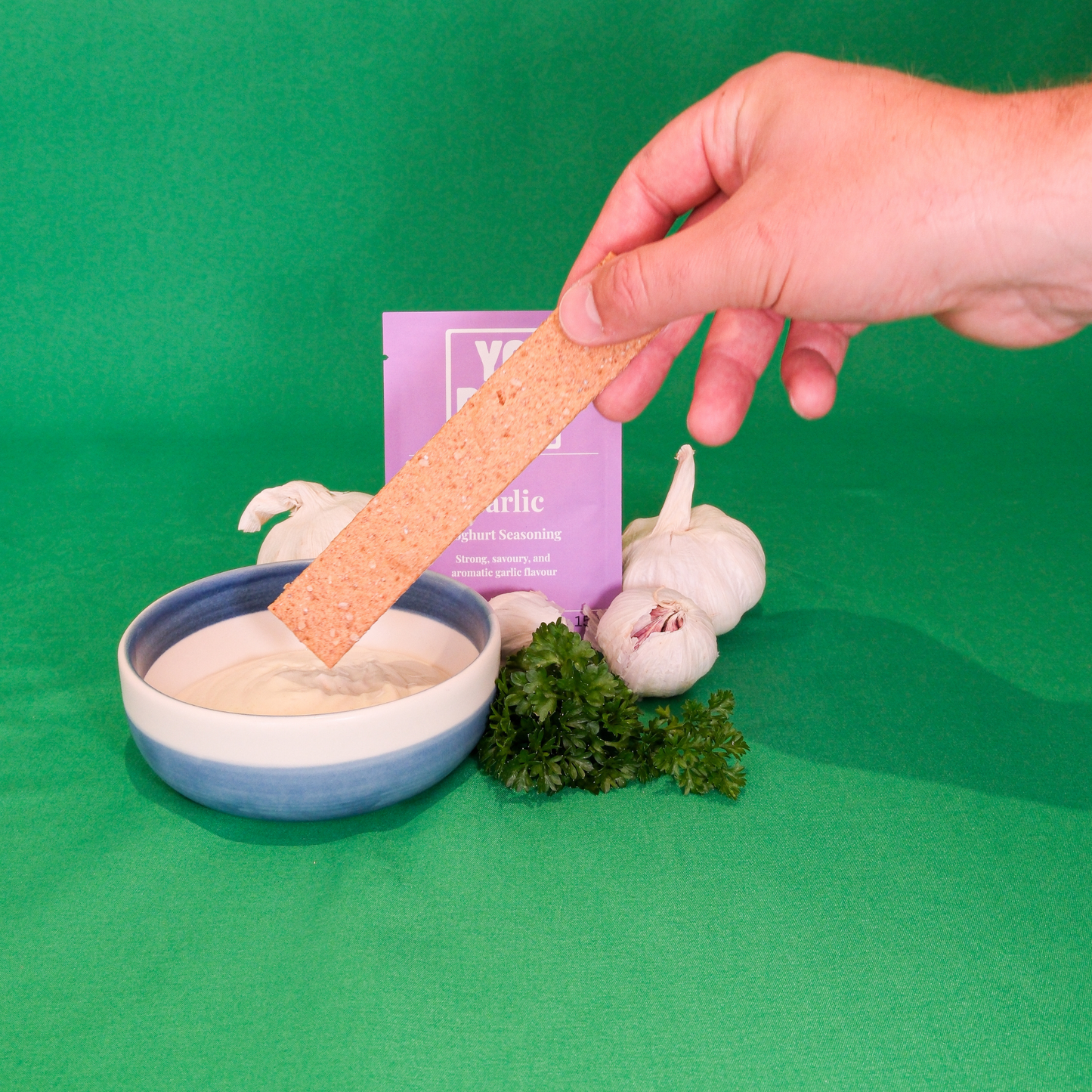 Garlic Yoghurt Seasoning