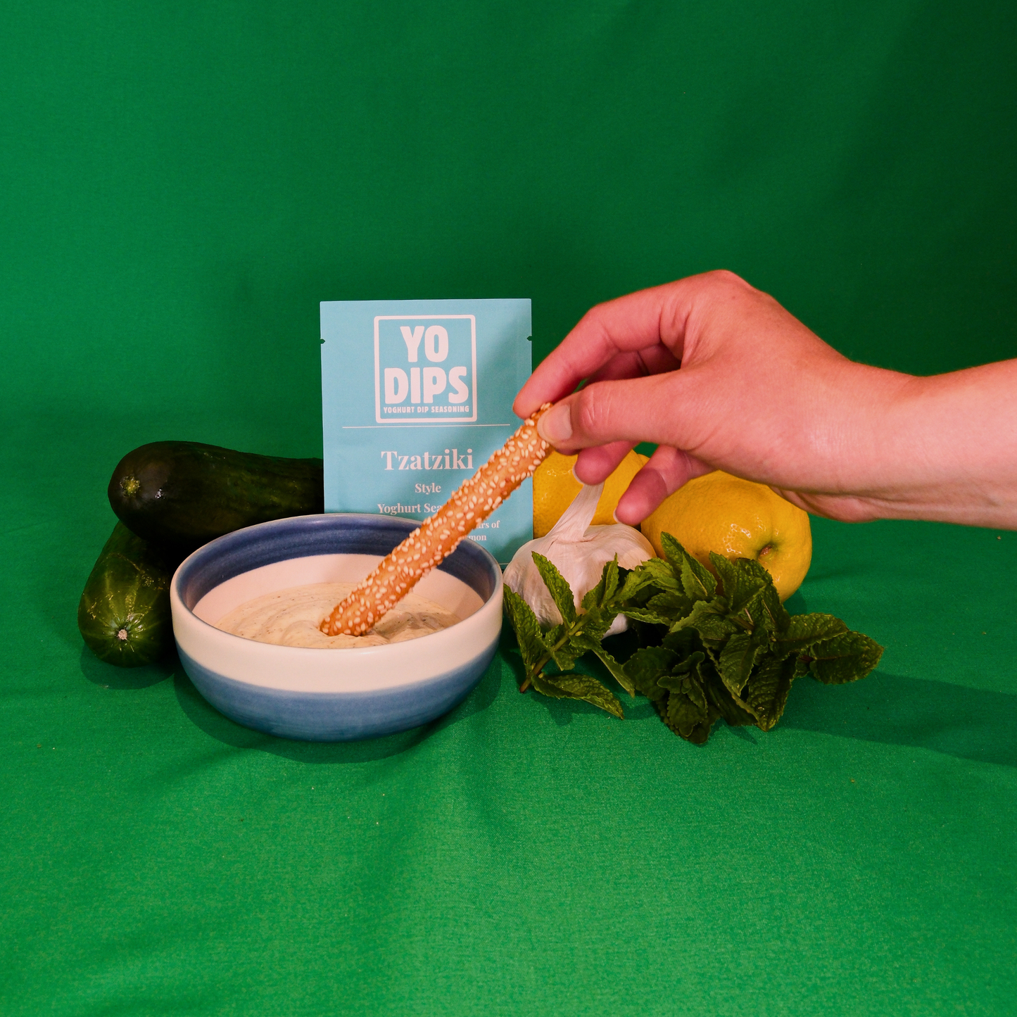 Tzatziki Style Yoghurt Seasoning